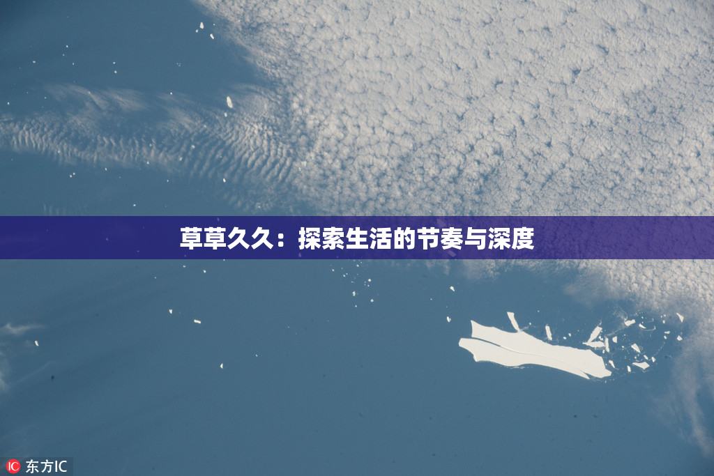 草草久久：探索生活的节奏与深度