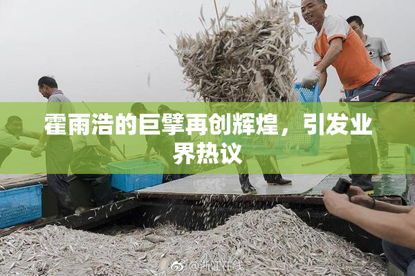 霍雨浩的巨擘再创辉煌，引发业界热议
