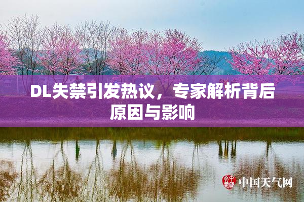 DL失禁引发热议，专家解析背后原因与影响
