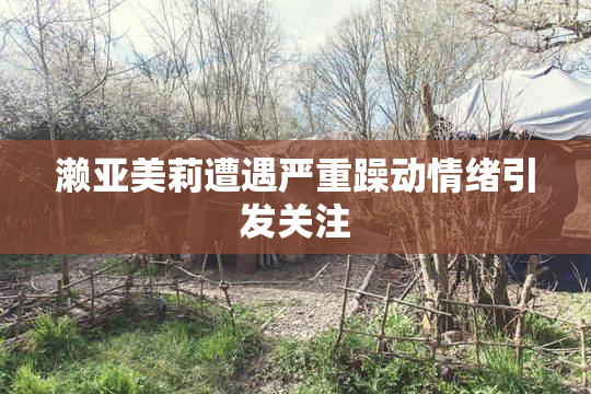 濑亚美莉遭遇严重躁动情绪引发关注