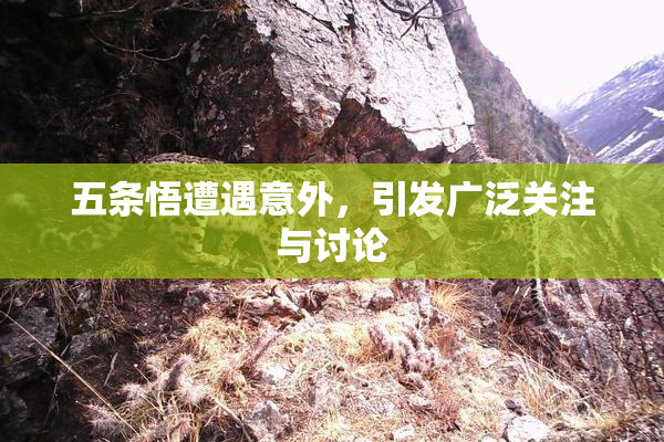 五条悟遭遇意外，引发广泛关注与讨论