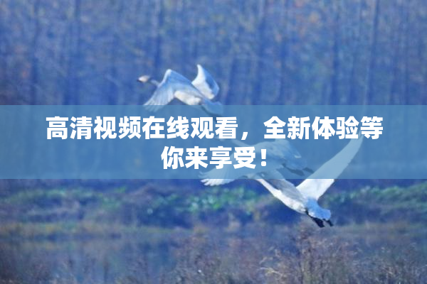 高清视频在线观看，全新体验等你来享受！