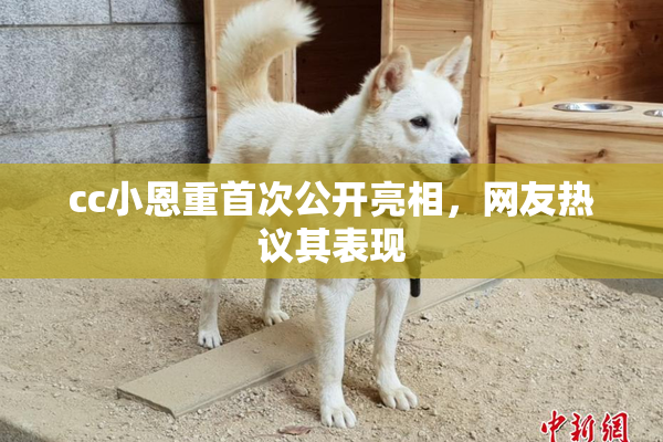 cc小恩重首次公开亮相，网友热议其表现