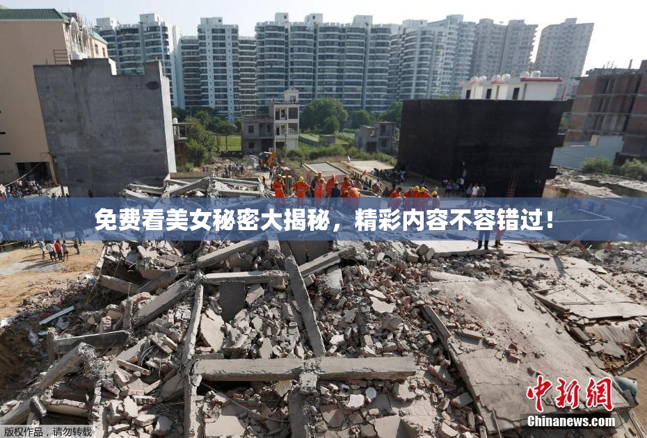 免费看美女秘密大揭秘，精彩内容不容错过！