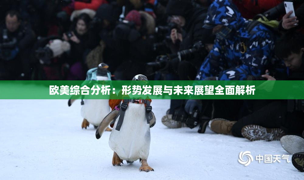 欧美综合分析：形势发展与未来展望全面解析