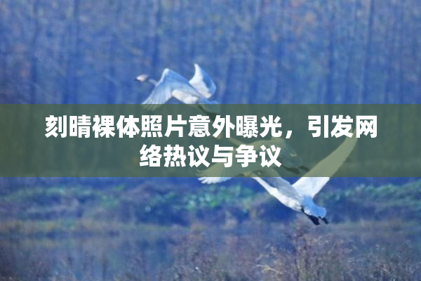 刻晴裸体照片意外曝光，引发网络热议与争议