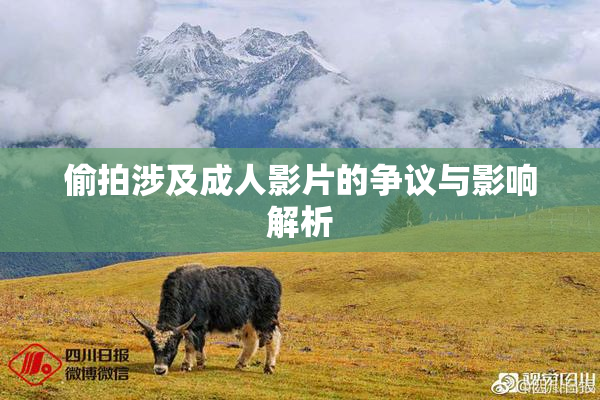 偷拍涉及成人影片的争议与影响解析