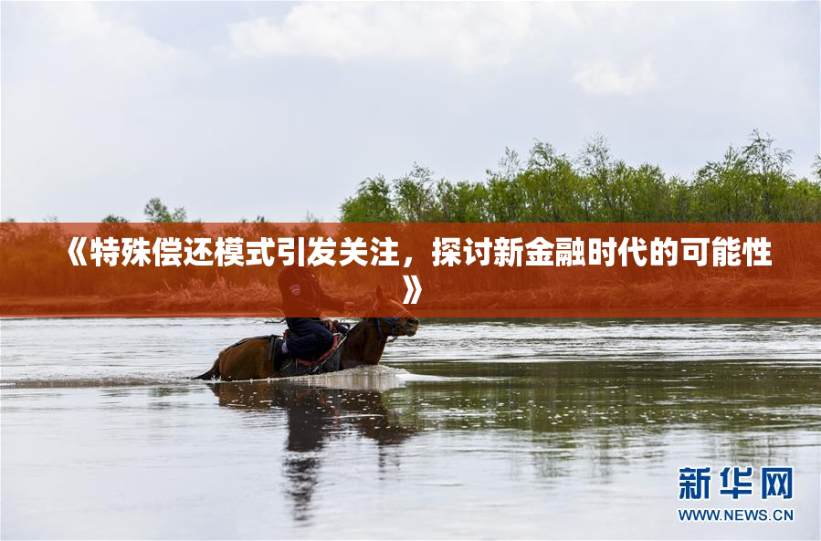 《特殊偿还模式引发关注，探讨新金融时代的可能性》