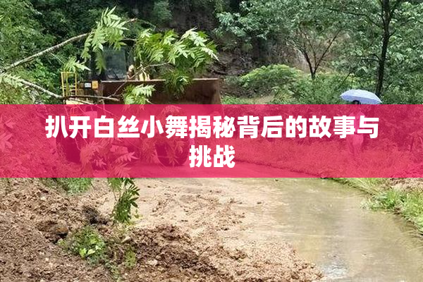 扒开白丝小舞揭秘背后的故事与挑战