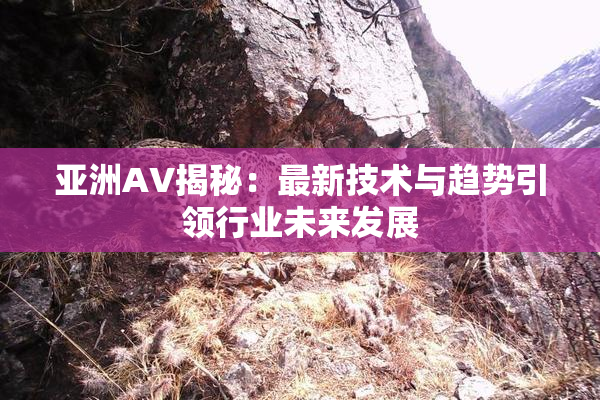 亚洲AV揭秘：最新技术与趋势引领行业未来发展