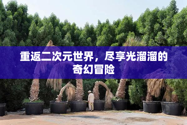 重返二次元世界，尽享光溜溜的奇幻冒险
