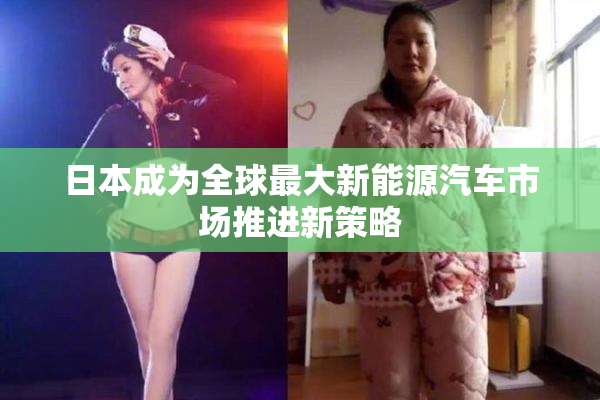 日本成为全球最大新能源汽车市场推进新策略