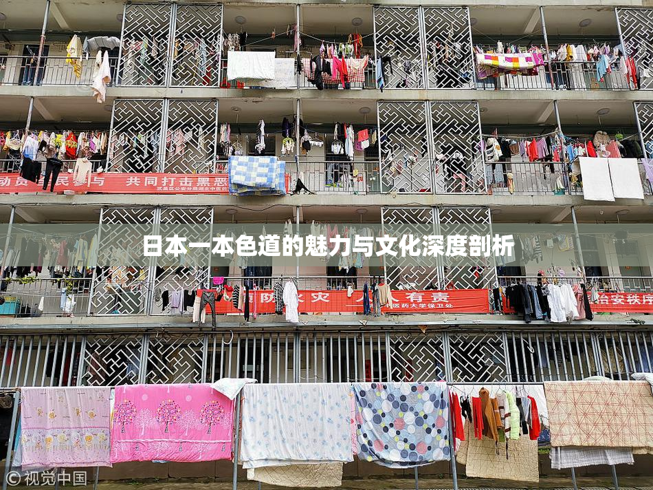 日本一本色道的魅力与文化深度剖析