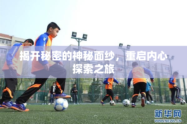 揭开秘密的神秘面纱，重启内心探索之旅