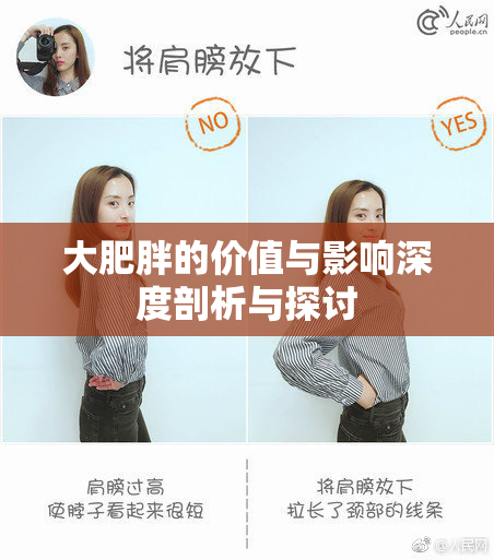 大肥胖的价值与影响深度剖析与探讨