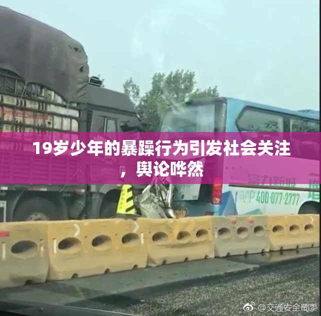 19岁少年的暴躁行为引发社会关注，舆论哗然
