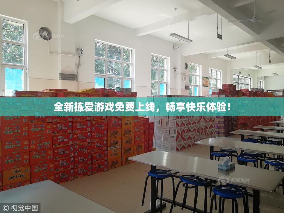 全新拣爱游戏免费上线，畅享快乐体验！