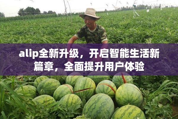 alip全新升级，开启智能生活新篇章，全面提升用户体验