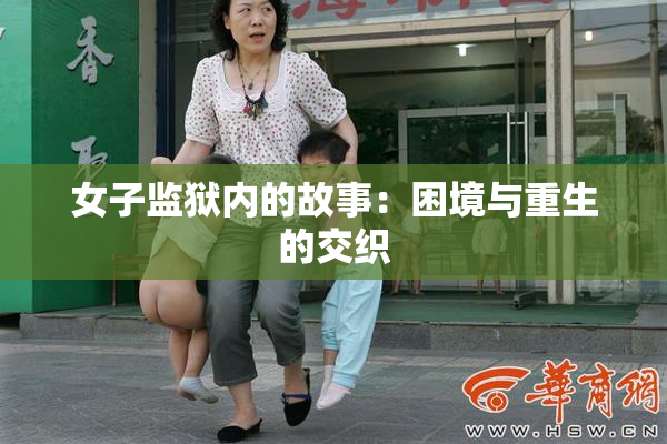 女子监狱内的故事：困境与重生的交织