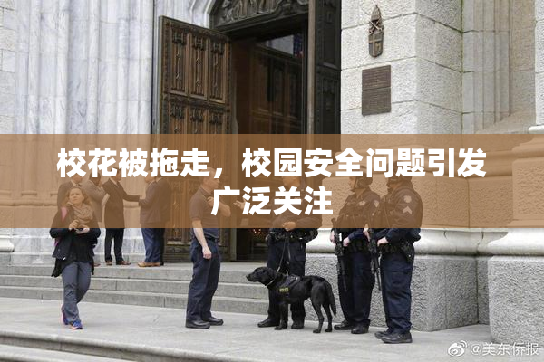 校花被拖走，校园安全问题引发广泛关注