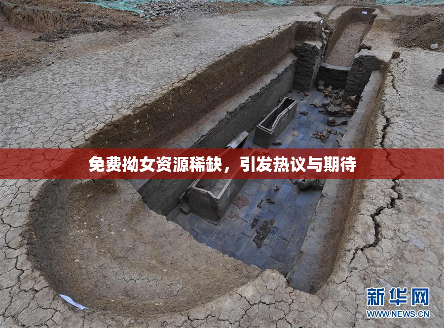 免费拗女资源稀缺，引发热议与期待