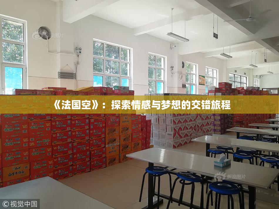 《法国空》：探索情感与梦想的交错旅程