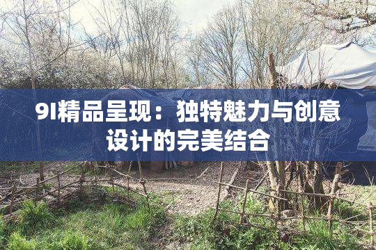 9I精品呈现：独特魅力与创意设计的完美结合
