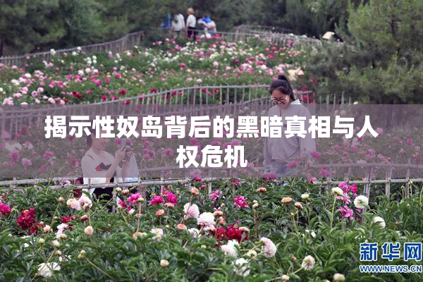 揭示性奴岛背后的黑暗真相与人权危机