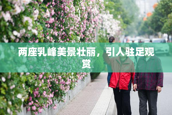 两座乳峰美景壮丽，引人驻足观赏