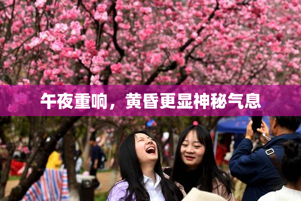 午夜重响，黄昏更显神秘气息