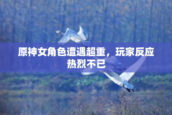 原神女角色遭遇超重，玩家反应热烈不已