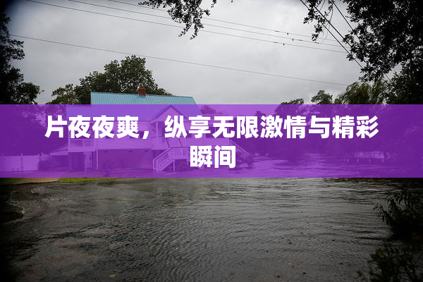 片夜夜爽，纵享无限激情与精彩瞬间