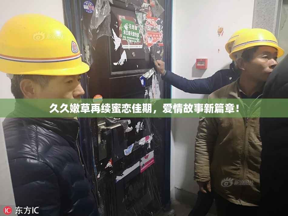 久久嫩草再续蜜恋佳期，爱情故事新篇章！