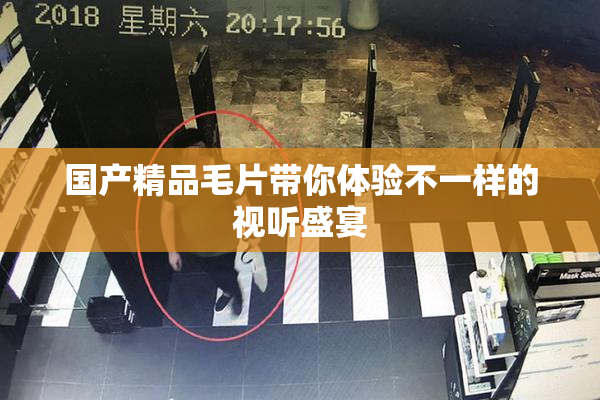 国产精品毛片带你体验不一样的视听盛宴