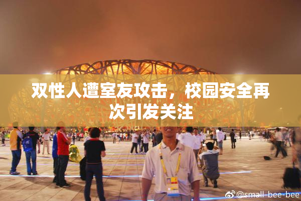 双性人遭室友攻击，校园安全再次引发关注