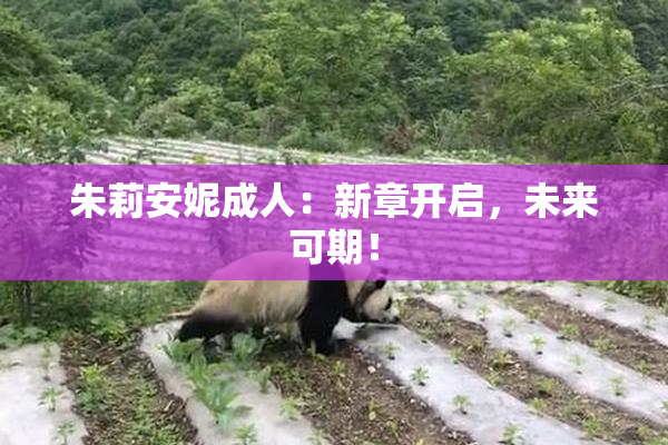 朱莉安妮成人：新章开启，未来可期！