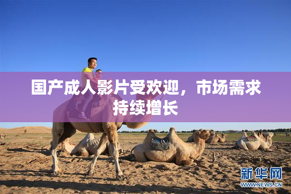 国产成人影片受欢迎，市场需求持续增长