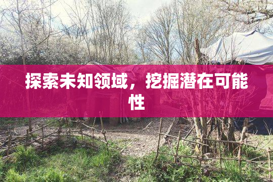 探索未知领域，挖掘潜在可能性