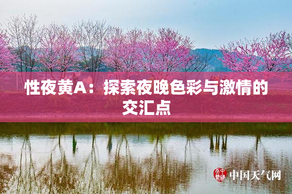 性夜黄A：探索夜晚色彩与激情的交汇点