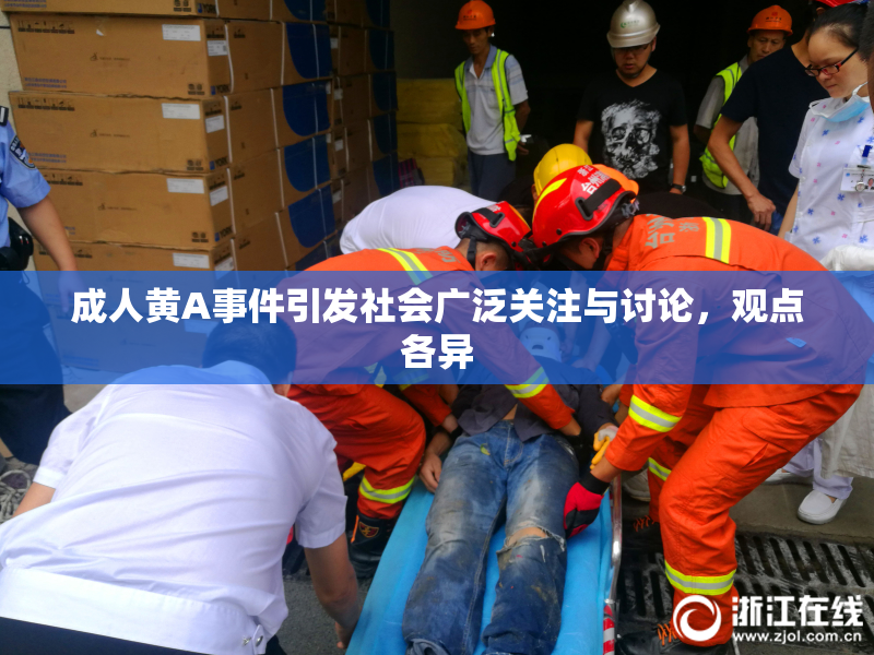 成人黄A事件引发社会广泛关注与讨论，观点各异