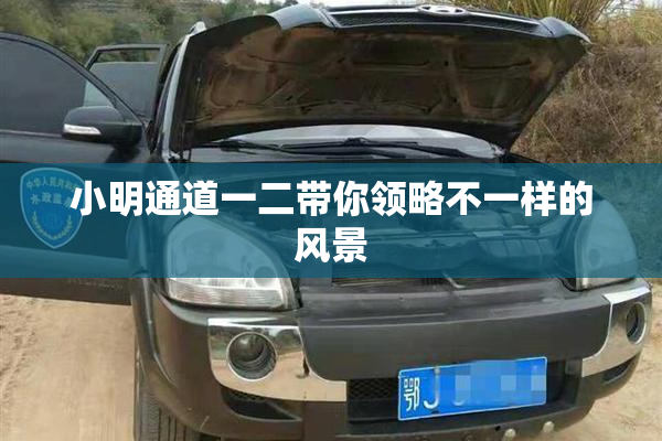 小明通道一二带你领略不一样的风景