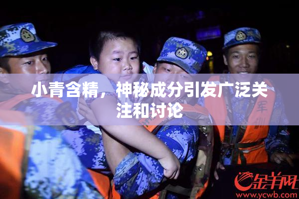 小青含精，神秘成分引发广泛关注和讨论