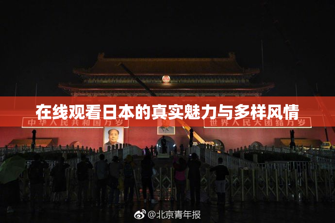 在线观看日本的真实魅力与多样风情