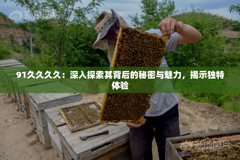 91久久久久：深入探索其背后的秘密与魅力，揭示独特体验