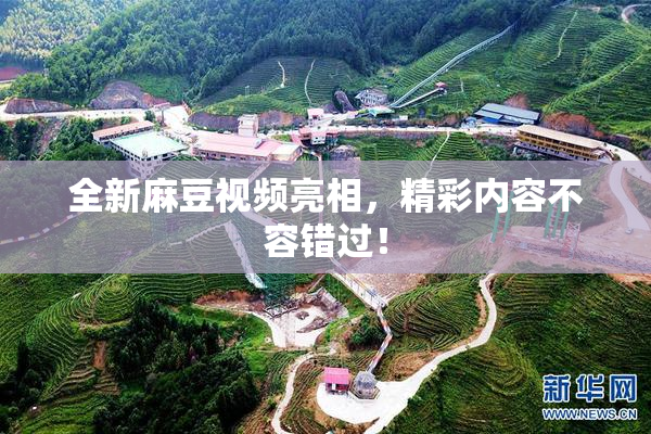 全新麻豆视频亮相，精彩内容不容错过！