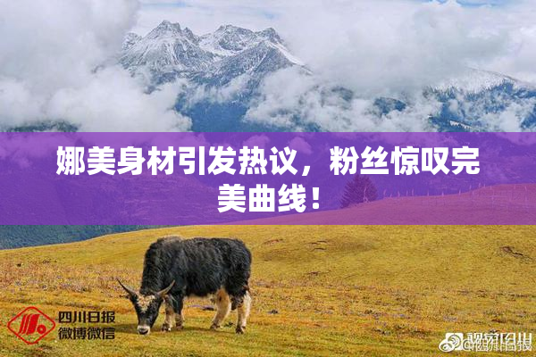 娜美身材引发热议，粉丝惊叹完美曲线！