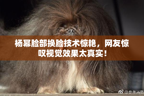 杨幂脸部换脸技术惊艳，网友惊叹视觉效果太真实！