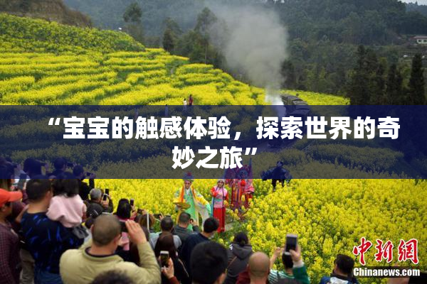 “宝宝的触感体验，探索世界的奇妙之旅”