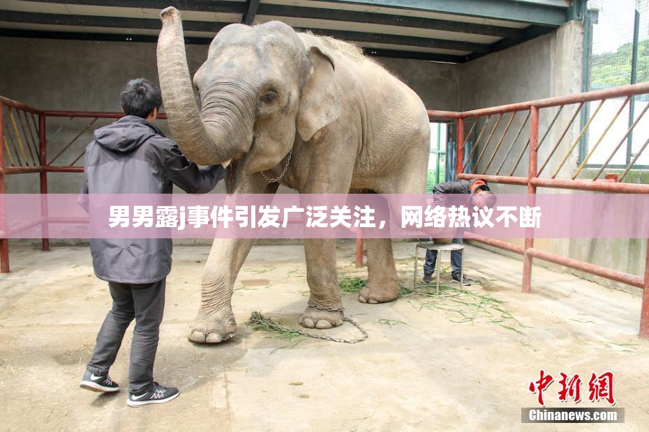 男男露j事件引发广泛关注，网络热议不断