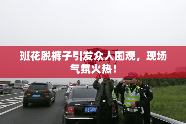 班花脱裤子引发众人围观，现场气氛火热！